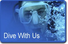 Dive With Us